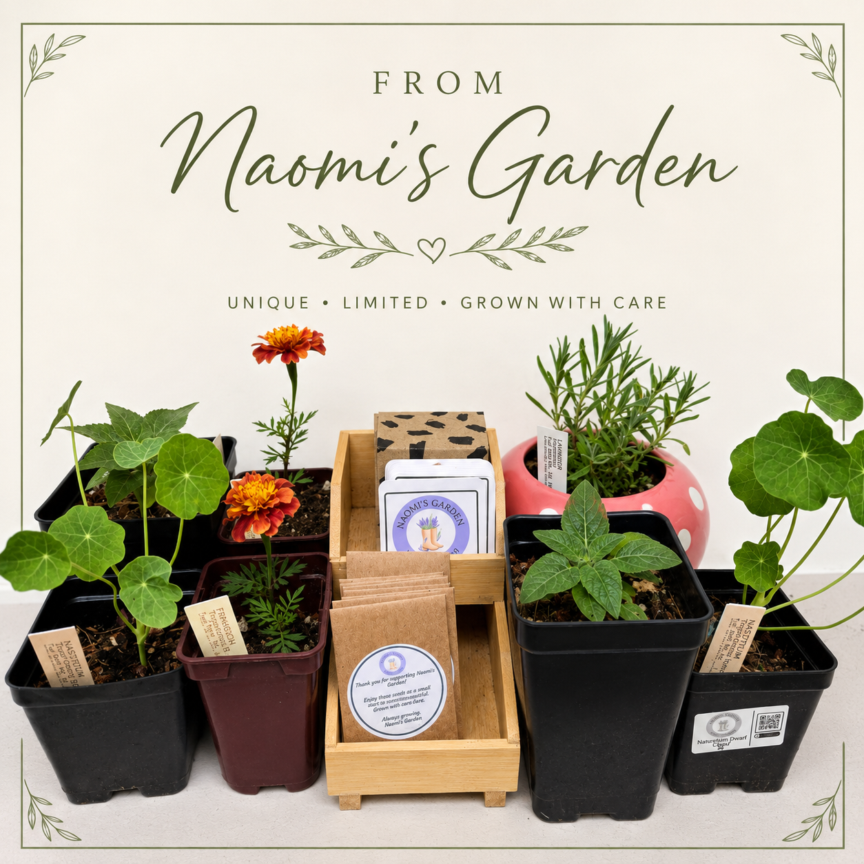 From Naomi's Garden