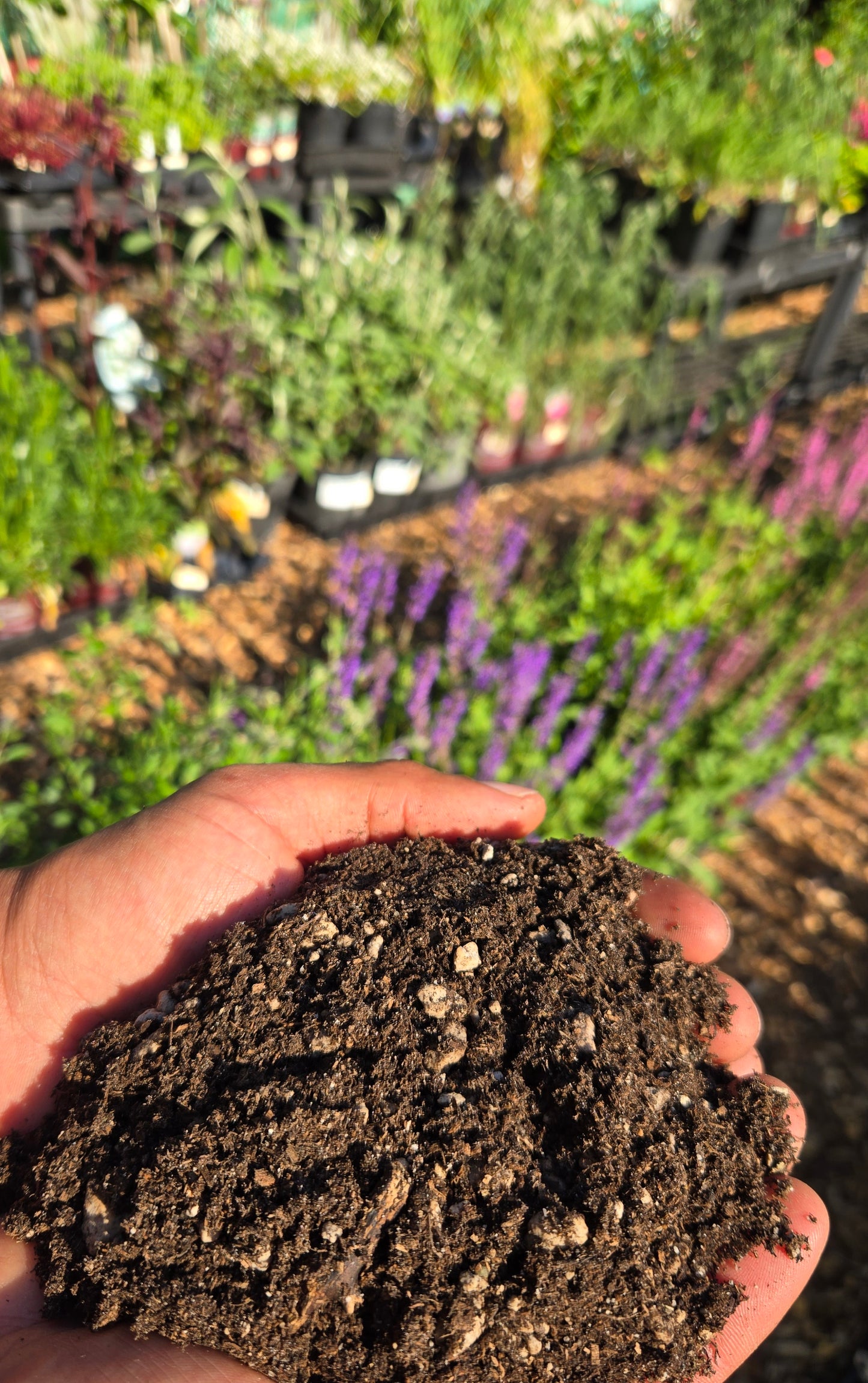 Growers Professional Soil